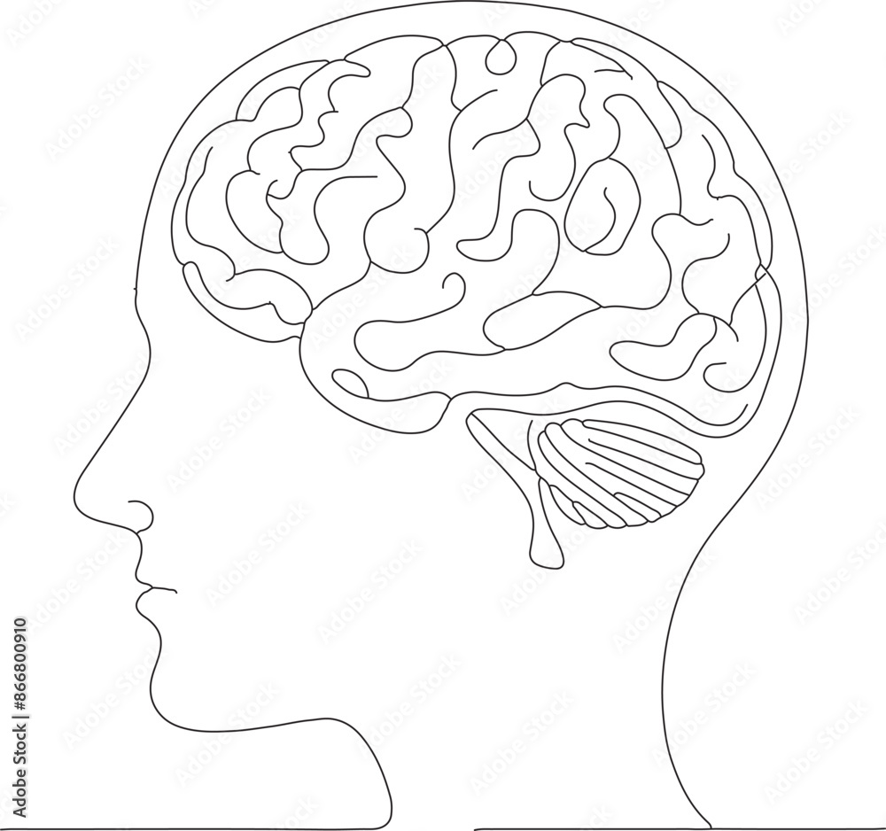 Continuous one line drawing of human brain. Brain line art vector illustration, psychology, idea and intelligence concept. Editable stroke. Continuous one line drawing of human brain. Brain line art vector illustration, psychology, idea and intelligence concept. Editable stroke.