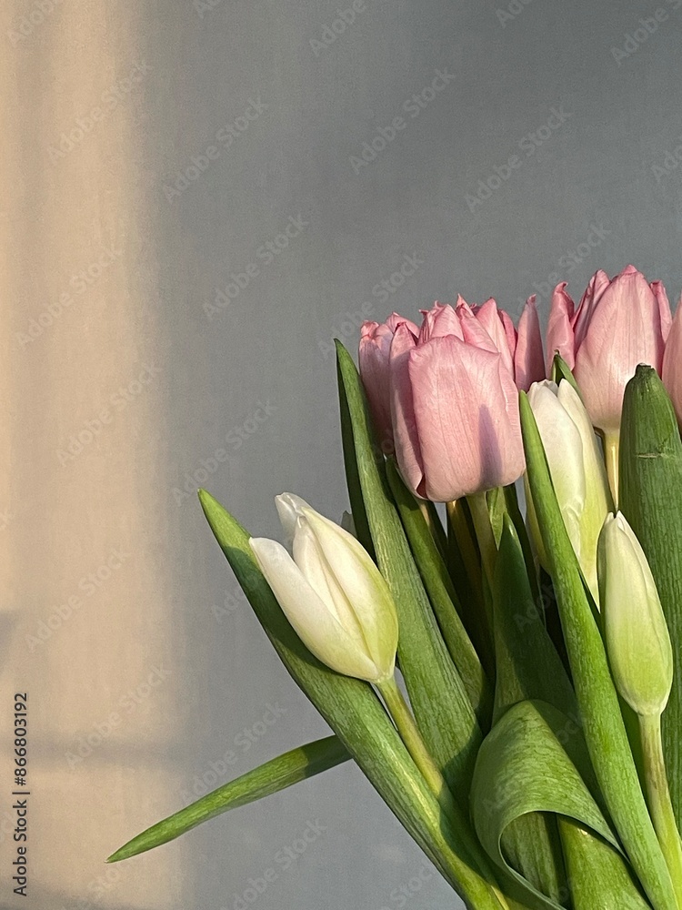 Naklejka premium Tulip aesthetics