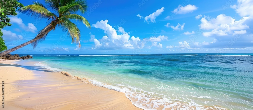 Beach with a View of the Ocean Beach with a View of the Ocean