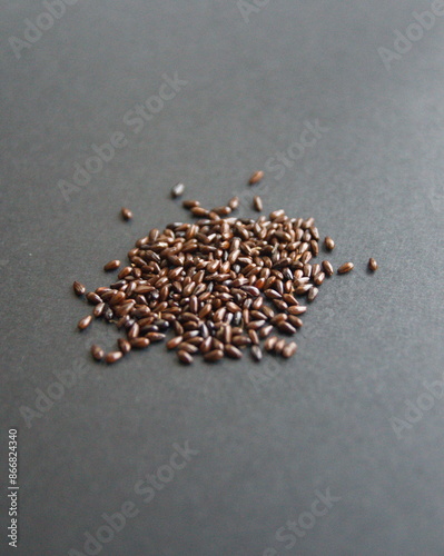 Seeds of Sandthorn (Hippophae rhamnoides, common sea buckthorn, sallowthorn, seaberry), oilseeds used in traditional medicine,  on dark grey background photo