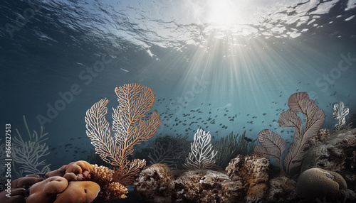 underwater scene with fishes