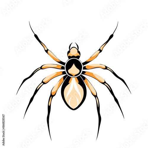 detailed illustration of an orb weaver spider with distinctive markings.