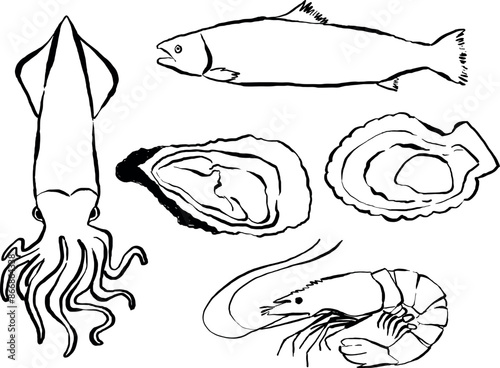 Animales marinos dibujados a mano. Ilustración de animales marinos. Clipart de animales para comida marina calamar, Salmon, Concha de vieira, Camarón, Ostra