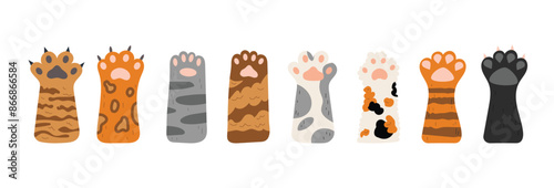 Vector set of cat paws. Different cute cat paws. Collection of pets feet with claws and different fur. Objects isolated on white background.
