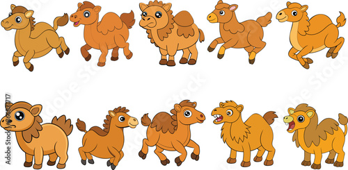 Bactrian Camels  design ,animal vector design
