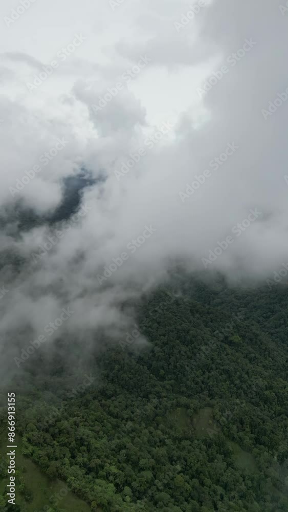 Aerial video over Mindo Cloud Forest, Ecuador Aerial video over Mindo Cloud Forest, Ecuador