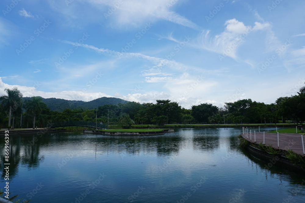 flor, aves, patos, piragua, carro de piragua, dulce, boricua, piragua ventas