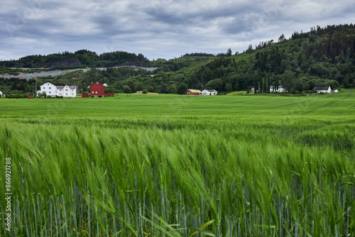 A small farm amidst green meadows, located in central Norway