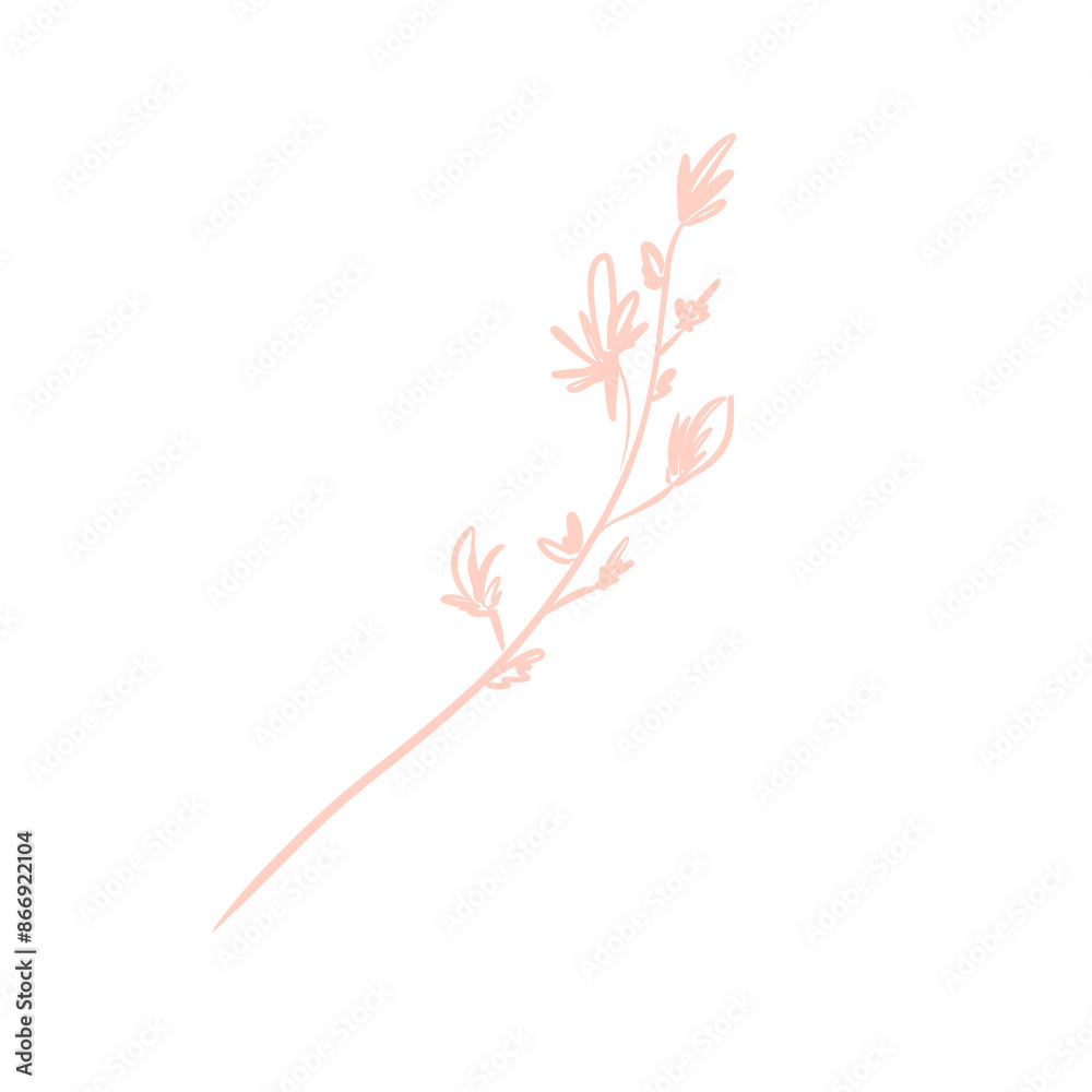 Flower sprig with light pink buds sketch illustration Flower sprig with light pink buds sketch illustration