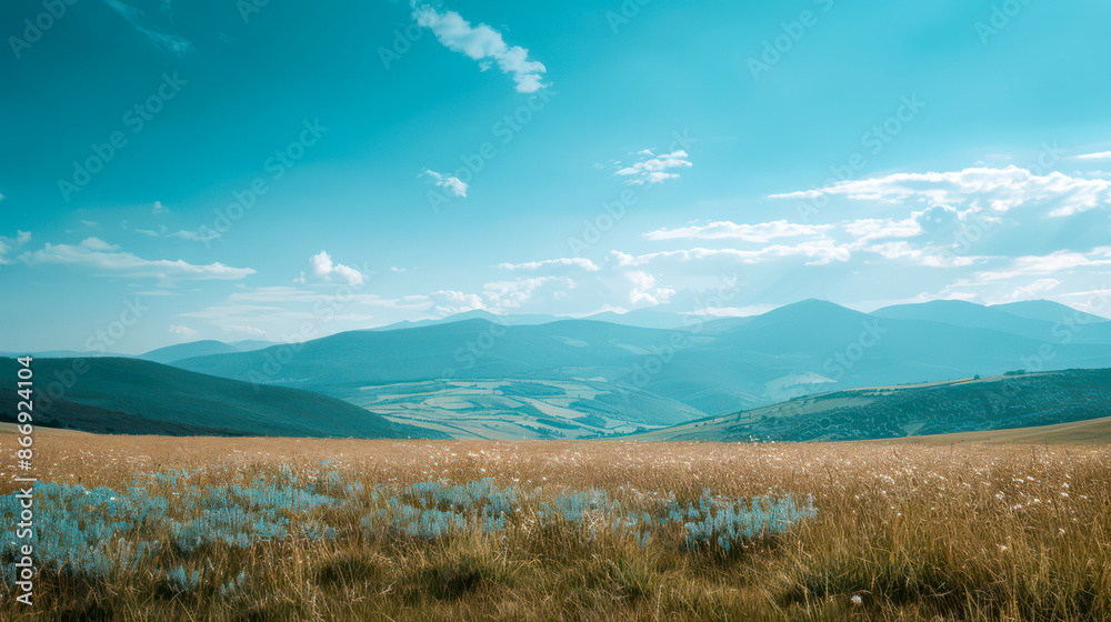 Obraz premium Minimalistic landscape. Minimalist landscape of meadow and mountains seen in the distance during a cloudless sky
