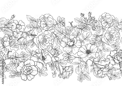 Rose flowers, Seamless pattern, background. Vector illustration. Outline hand drawing.
