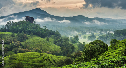 the serene landscapes of Coorg (Kodagu) in Karnatak 