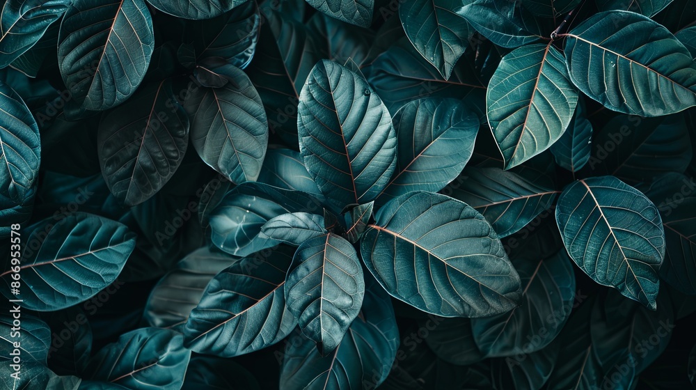 Green tropical plant close-up Green tropical plant close-up