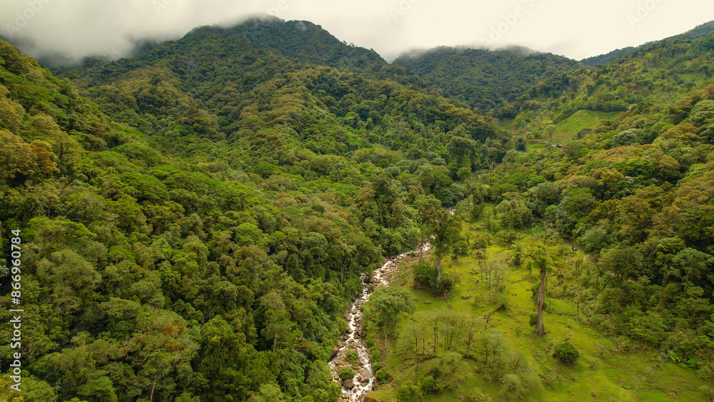 Fototapeta premium AERIAL Hazy hilltops above beautiful lush rainforest with flowing mountain river