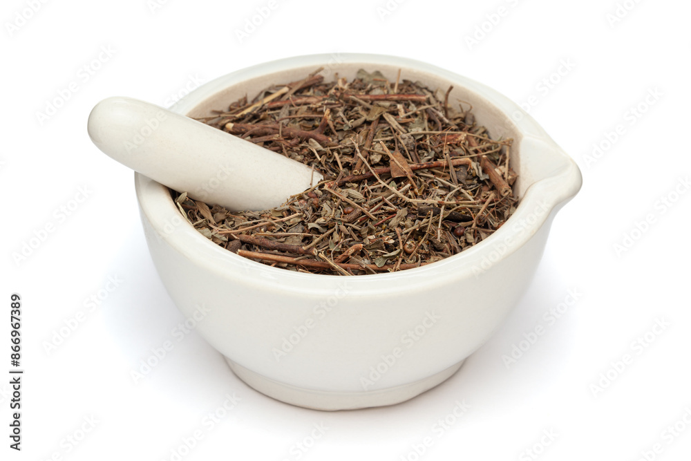 Close-up of Dry Organic Bhumi amla (Phyllanthus niruri) leaves, in white ceramic mortar and pestle, isolated on a white background. Close-up of Dry Organic Bhumi amla (Phyllanthus niruri) leaves, in white ceramic mortar and pestle, isolated on a white background.