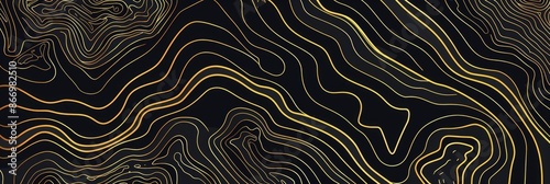 Topographic line map pattern background vector illustration with dark black and gold colors, topographical lines.