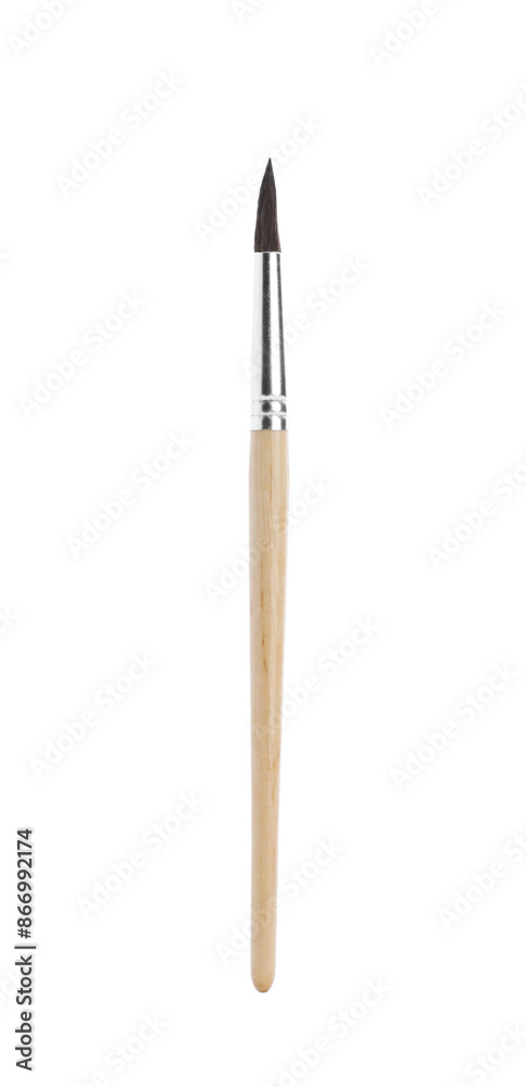 Paint brush with wooden handle isolated on white Paint brush with wooden handle isolated on white