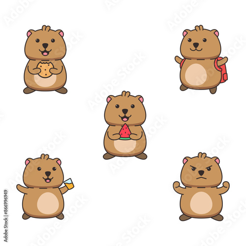 cute quokka illustrations