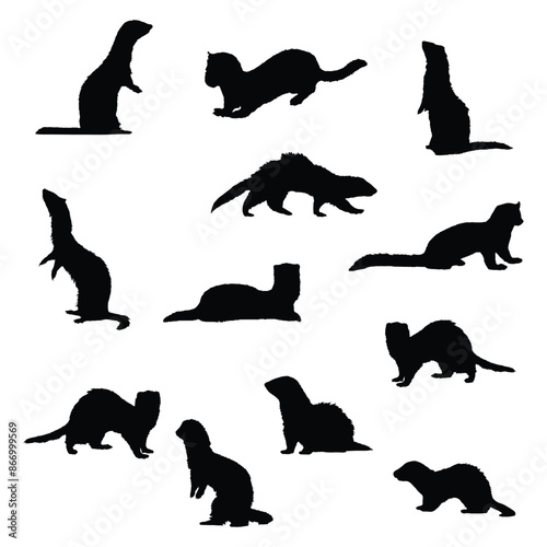 Ferret Vector Art Silhouette Set