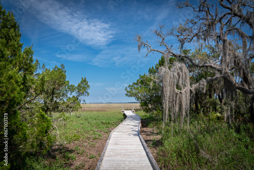 Vászonkép Amelia Island. Florida. Salt marshes. Boardwalk.
