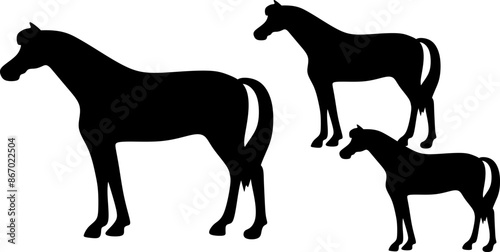 Silhouette of a mother horse walking with her foal