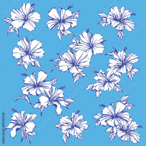 Impressive and beautiful hibiscus illustration collection,