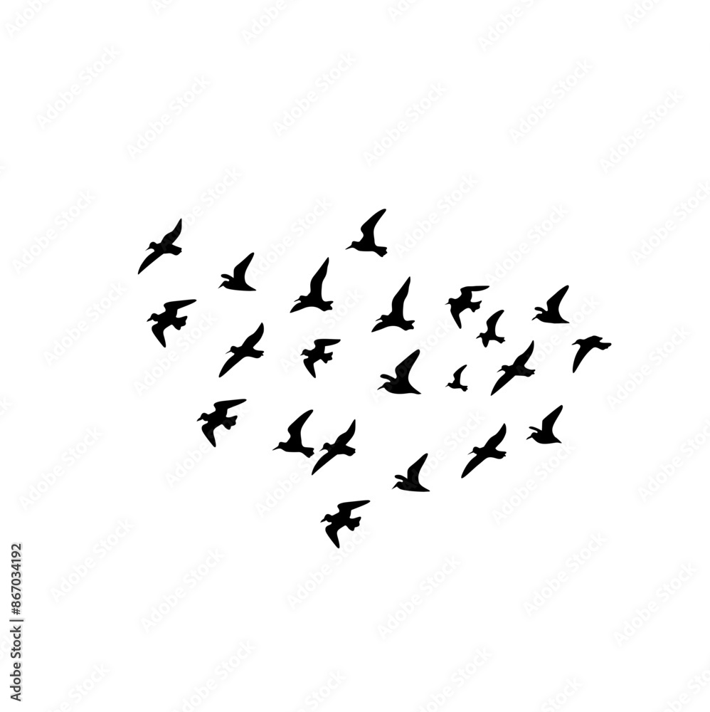 Flying birds silhouettes on white background. Vector illustration. Flying birds silhouettes on white background. Vector illustration.