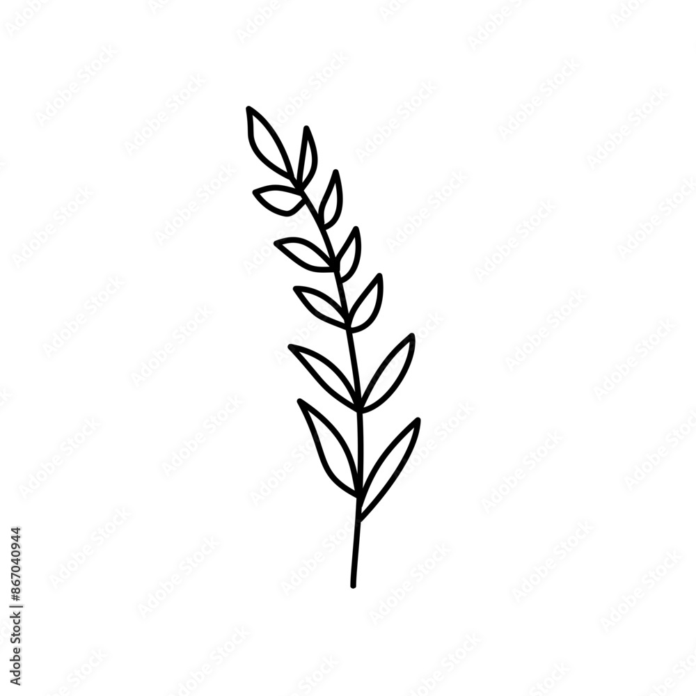 Fototapeta premium Hand drawn flowers and plants. Monochrome vector illustrations in sketch style.