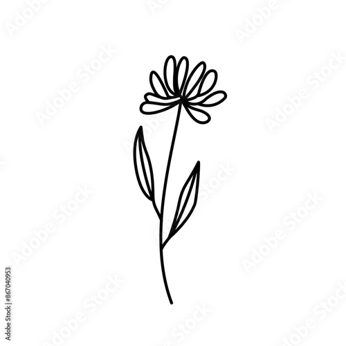 Hand drawn flowers and plants. Monochrome vector illustrations in sketch style.