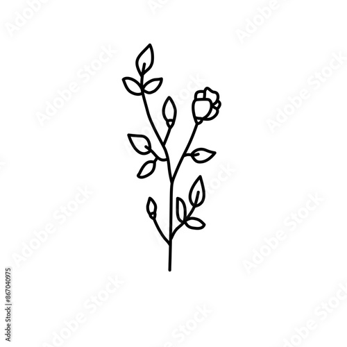 Hand drawn flowers and plants. Monochrome vector illustrations in sketch style.