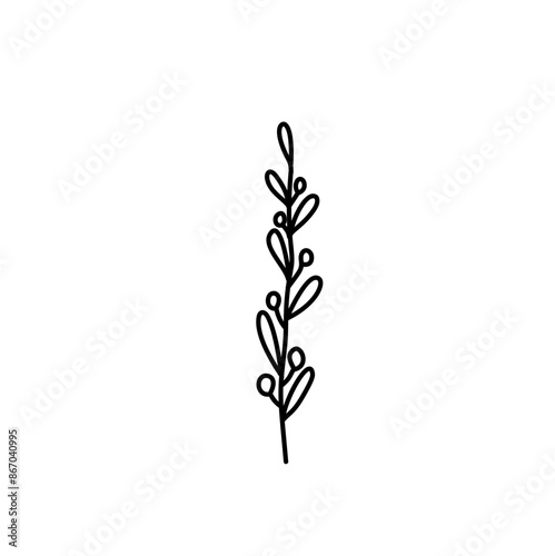 Hand drawn flowers and plants. Monochrome vector illustrations in sketch style.