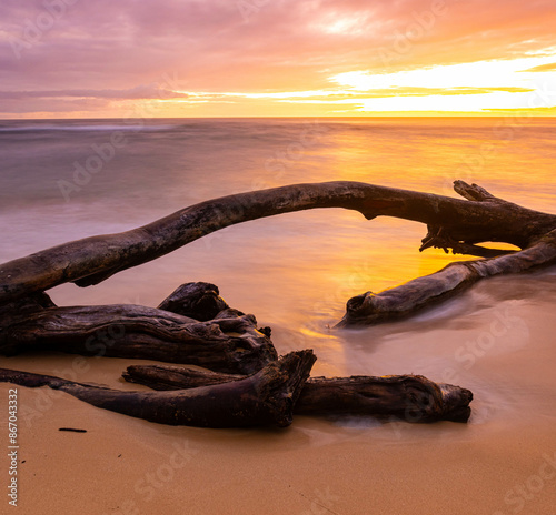 Sunrise Through Clouds on Driftwood and The Sandy Shore of Lydgate Beach, Lydgate Beach Park, Kauai, Hawaii, USA photo