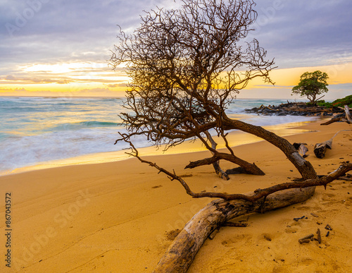 Cloudy Morning Light on The Sandy Shore of Lydgate Beach, Lydgate Beach Park, Kauai, Hawaii, USA photo