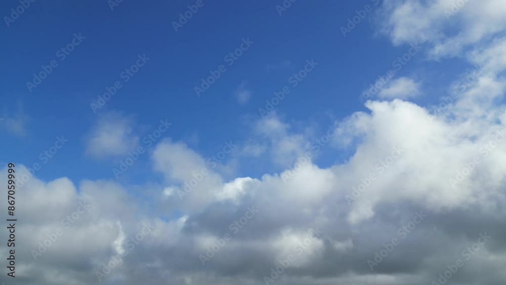Aerial View of Cows are Eating Grass in a Farm Land of Langstone Town on the Edge of Beach. England United Kingdom. May, 15th, 2024 Aerial View of Cows are Eating Grass in a Farm Land of Langstone Town on the Edge of Beach. England United Kingdom. May, 15th, 2024