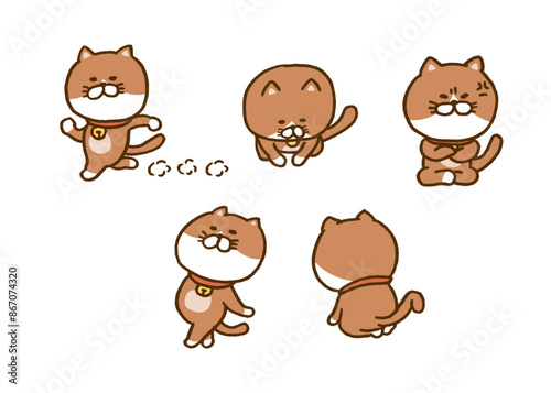 変なポーズをするかわいい茶猫のキャライラスト