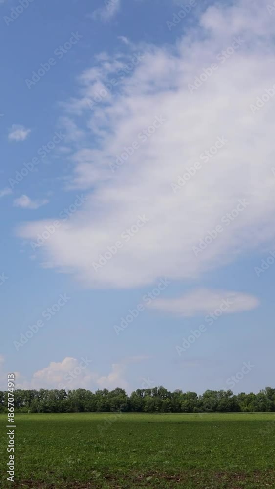 Vast expanse of green field beneath a clear blue sky with fluffy white clouds on a bright and sunny day Vast expanse of green field beneath a clear blue sky with fluffy white clouds on a bright and sunny day