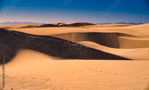 Fototapeta Naklejka Na Ścianę i Meble -  ocean sand dunes