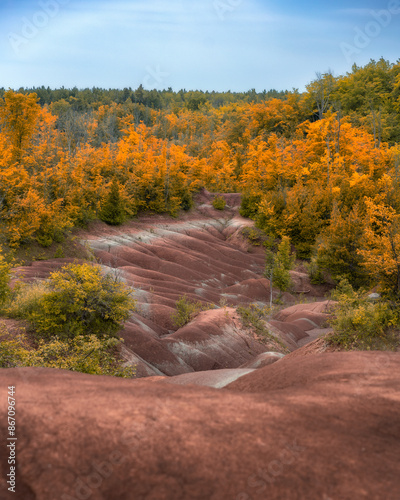 Canvas Print Red shale rock at the Cheltenham Badlands in Caledon Ontario with autumnal fall