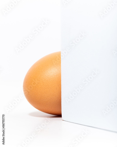 Brown eggs on a white background