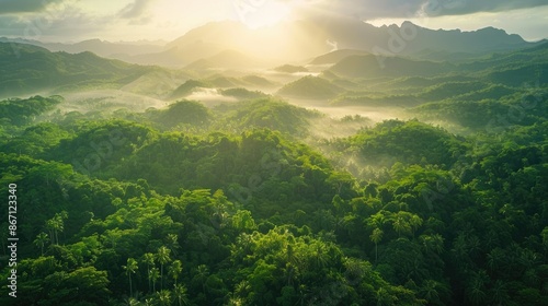 Aerial shot of tropical green mountain forest at sunrise, with the morning sun casting a warm glow