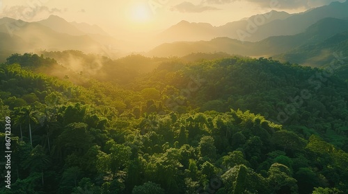 Aerial shot of tropical green tree mountain forest at dawn, highlighting the lush foliage and sunrise © chanidapa