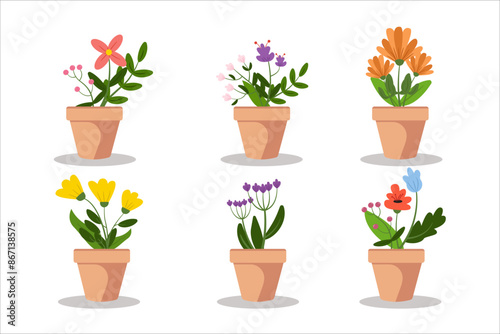 Bundle Flowers and Plant pots. illustration vector	