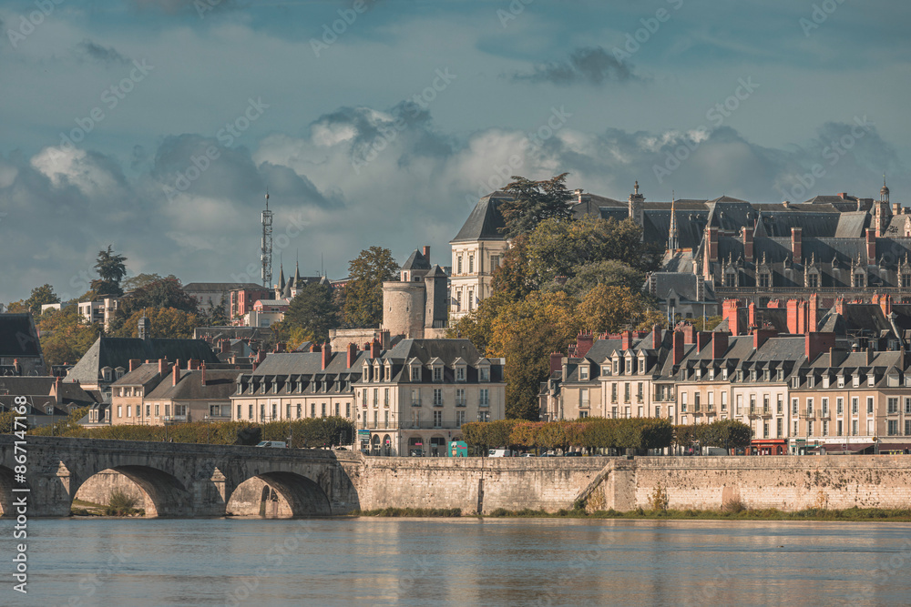 Obraz premium A parisian bridge over the loire river