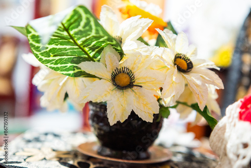 Potted flowers on a table indoors