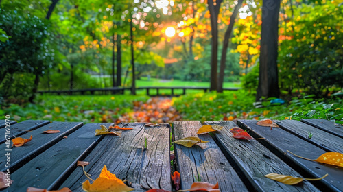 Beautiful natural wood table with background