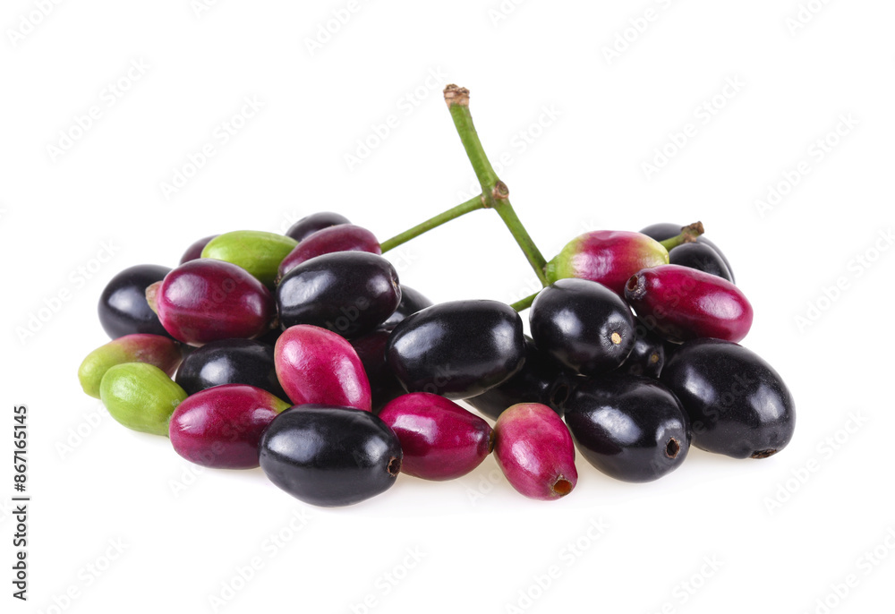 Fototapeta premium Jambolan plum or Java plum isolated on white background