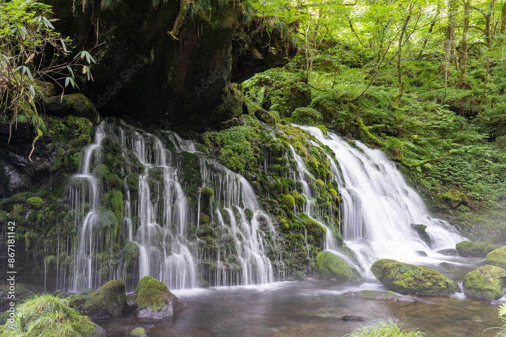 Fototapeta premium 元滝伏流水