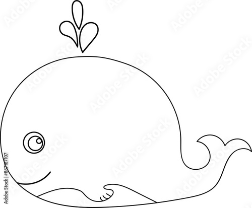whale, under the sea creatures