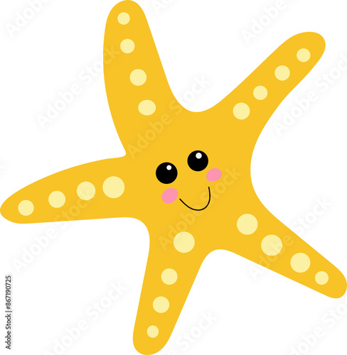 starfish, under the sea creatures
