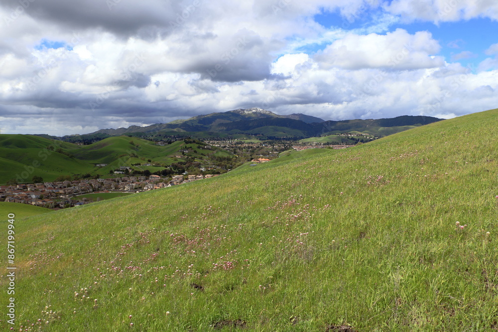 A late season winter storm brought snow on the summit of Mt Diablo while Owl's Clover wildflowers bloom in the greenery of the lower hills A late season winter storm brought snow on the summit of Mt Diablo while Owl's Clover wildflowers bloom in the greenery of the lower hills